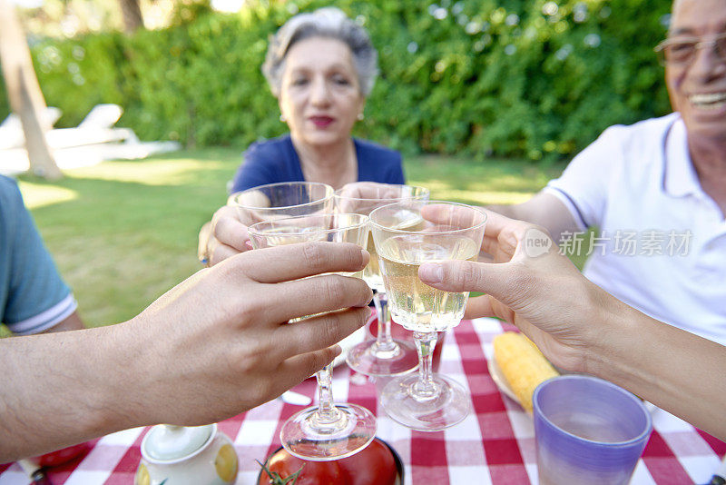 在花园的晚宴上，家人举杯祝酒