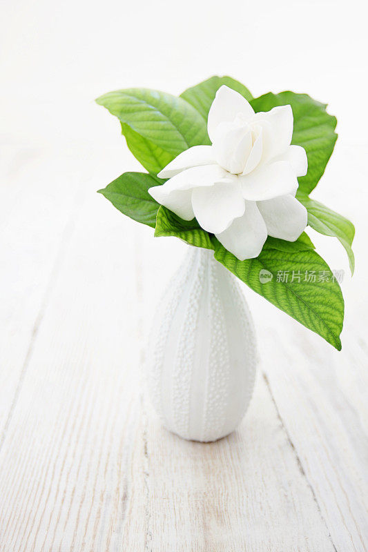 白木花瓶上的栀子花和叶子