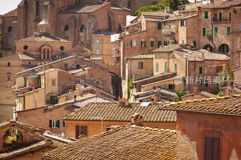 锡耶纳山城建筑和屋顶托斯卡纳风景如画的城市景观，托斯卡纳，意大利