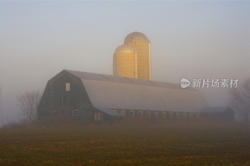 农场上雾蒙蒙的早晨