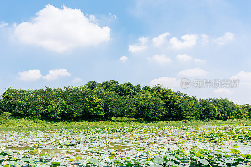 中国东莞的松山湖