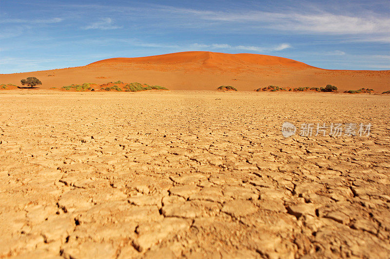 干燥的土地在纳米比亚沙漠和红沙丘景观