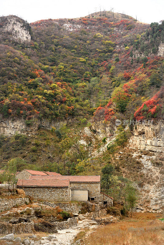 秋天的中国农村