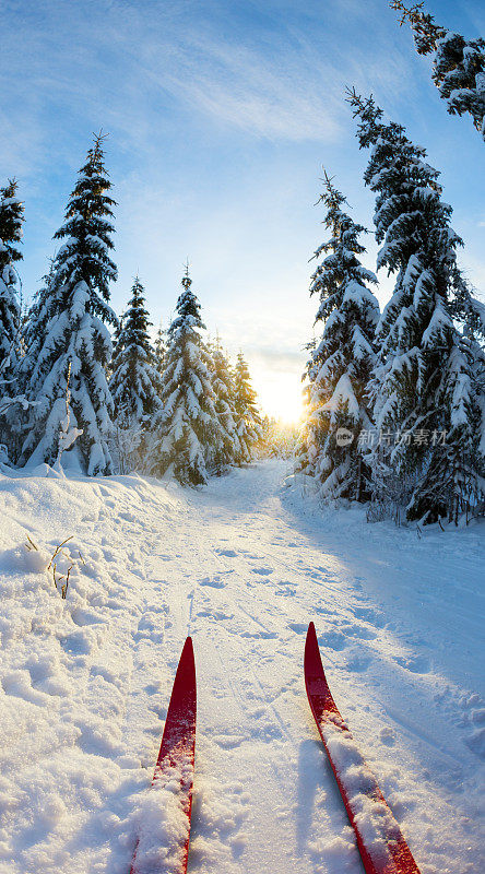 挪威奥斯陆越野滑雪