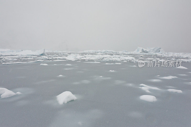 冰冻的南极海