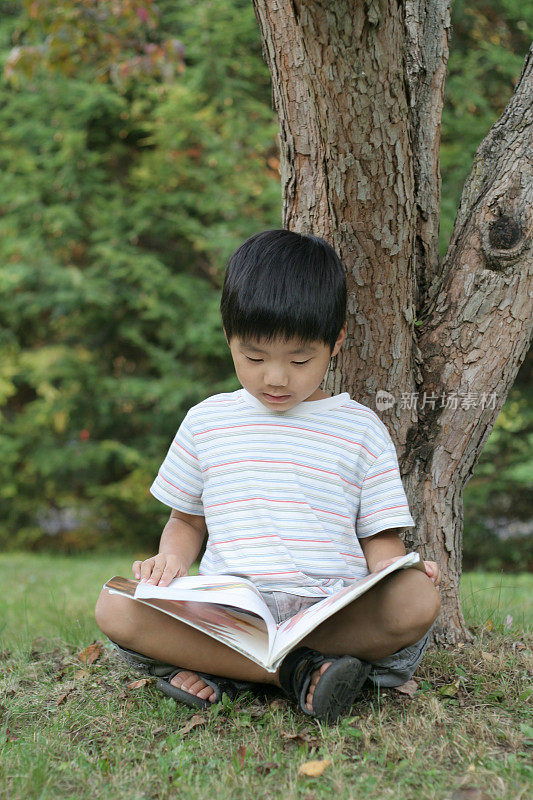 一个亚洲小男孩在树下看书