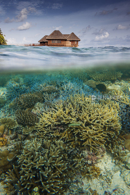 豪华马尔代夫住宿和印度洋珊瑚礁