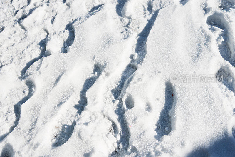 雪地上的一组脚印