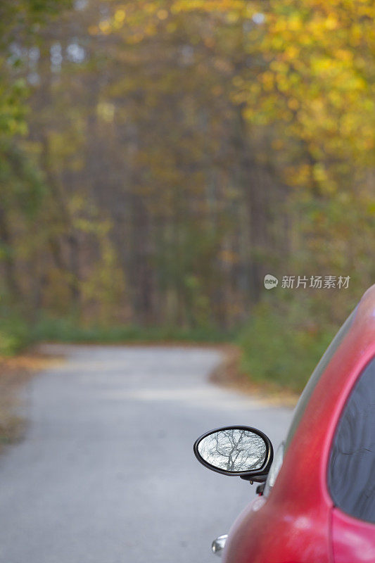 在秋天开车穿过森林的道路