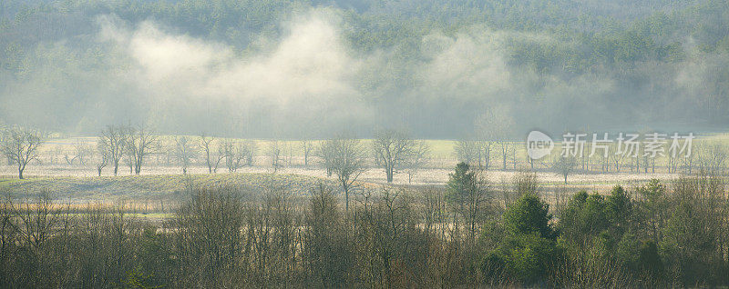全景景观烟雾山在早晨与薄雾