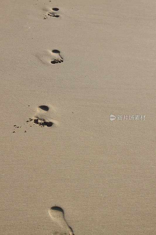 沙滩上的脚印