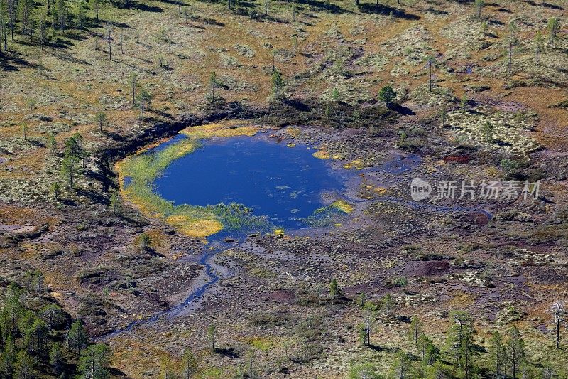 挪威的风景。湿区