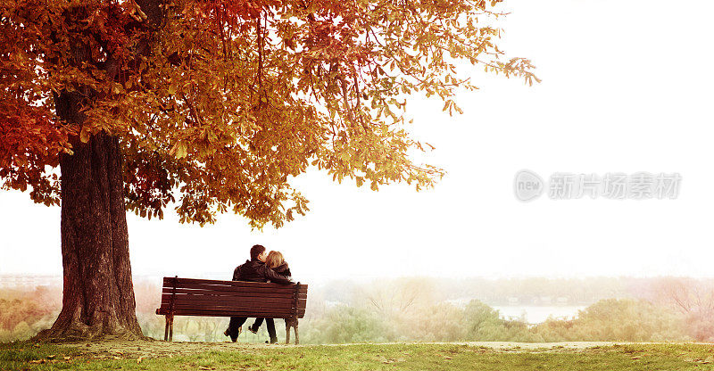一对年轻的情侣在长凳上接吻在巨大的栗子下。