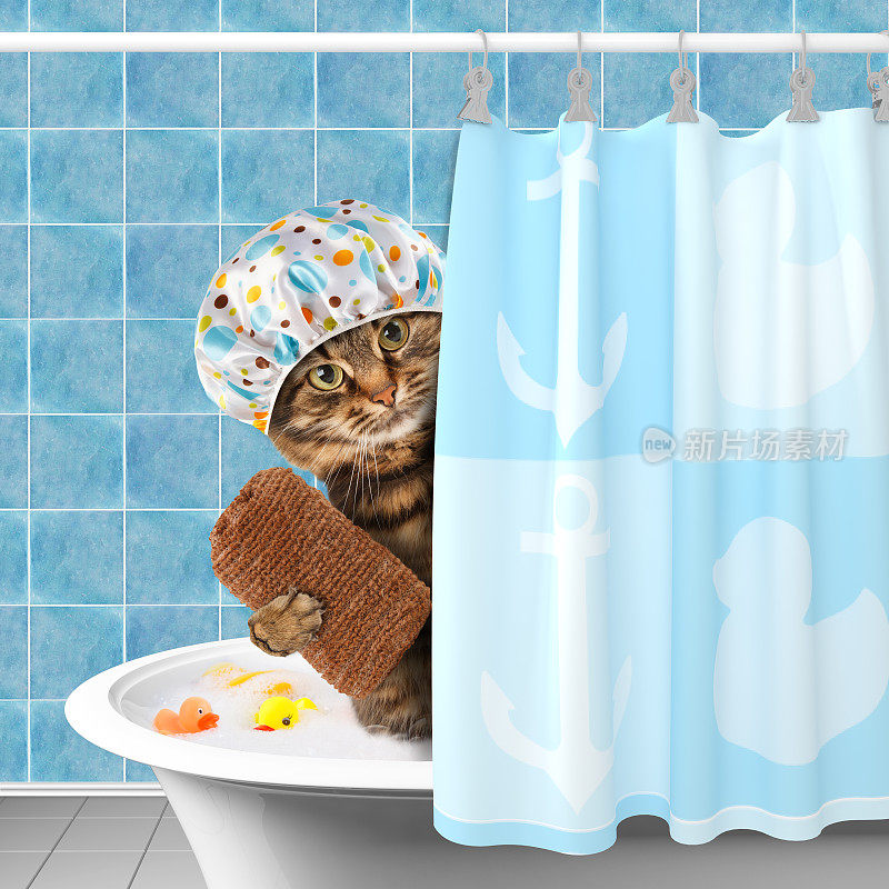 有趣的猫与配件浴缸。