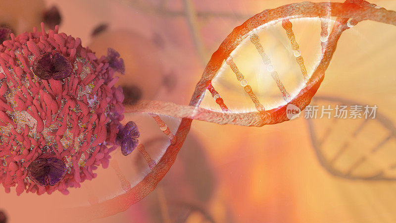 DNA链和癌细胞