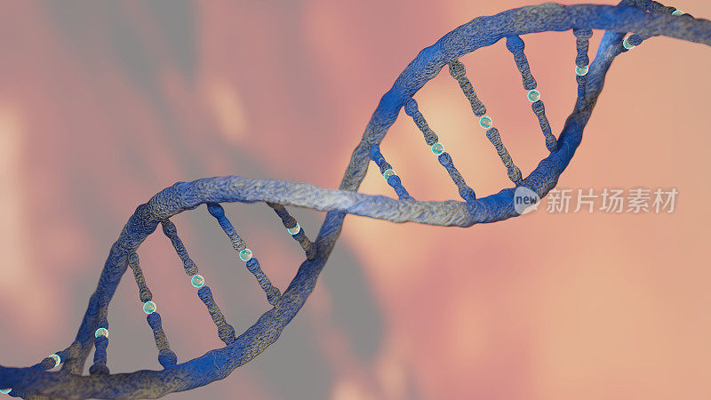 DNA链螺旋概念，DNA研究CRISPR