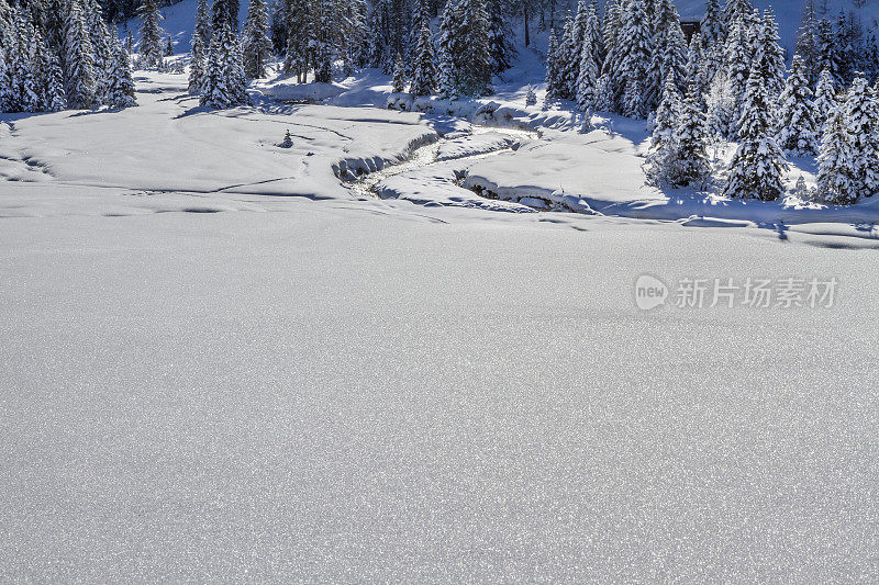 意大利帕莱迪圣马蒂诺自然公园(帕拉集团)里白雪覆盖的森林