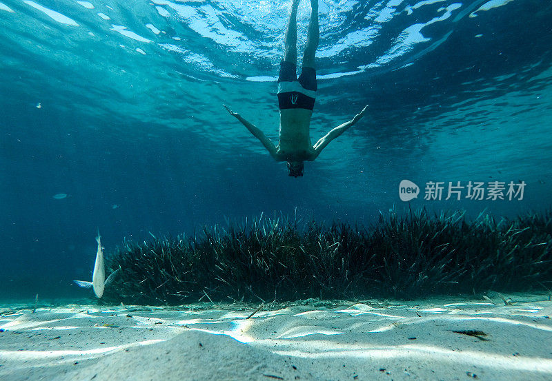 人和鱼在水下同步游泳