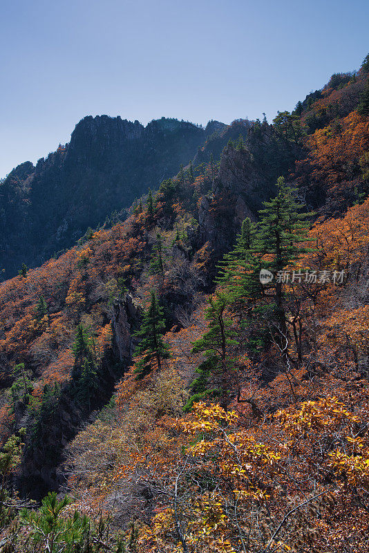 秋天的山