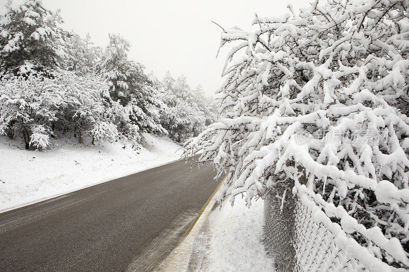 雪路