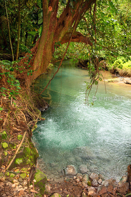 塞莱斯特瀑布的气泡水-哥斯达黎加的自然现象