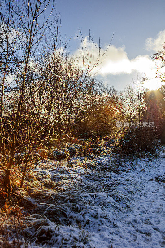 白雪覆盖的冬天，白皑皑的风景覆盖在阳光下