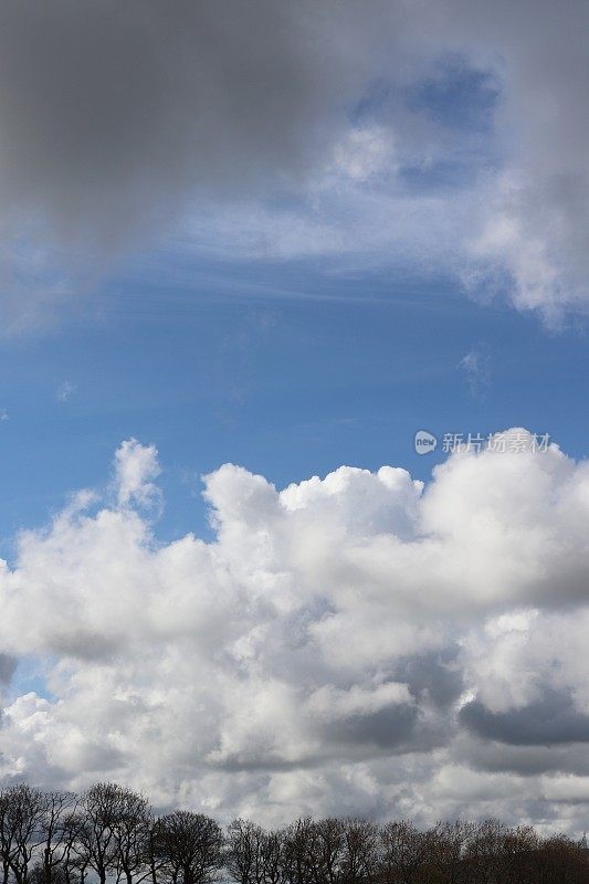 蓝色天空中蓬松的白云掠过光秃秃的剪影
