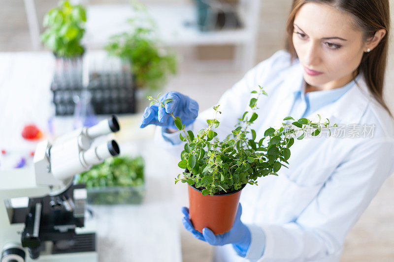 实验室里抱着一株植物的女性生物学家