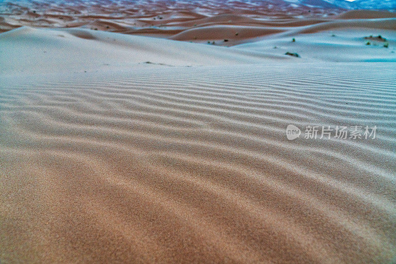 沙丘在撒哈拉沙漠-摩洛哥
