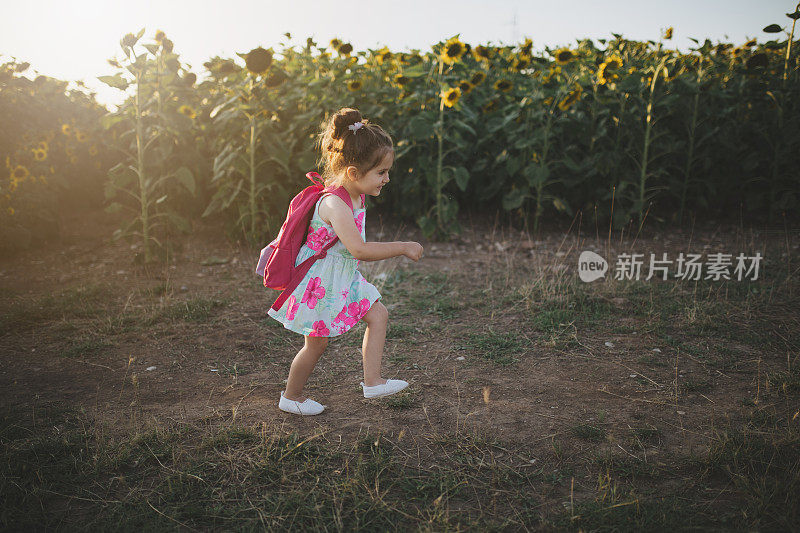 天真的孩子在向日葵种植园里奔跑