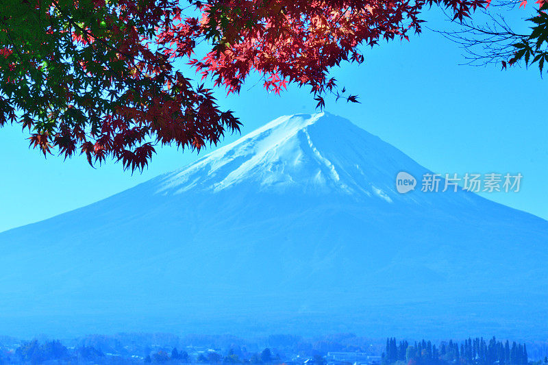 日本富士五湖地区的富士山和秋叶