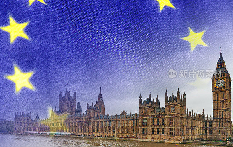 议会大厦和欧元旗