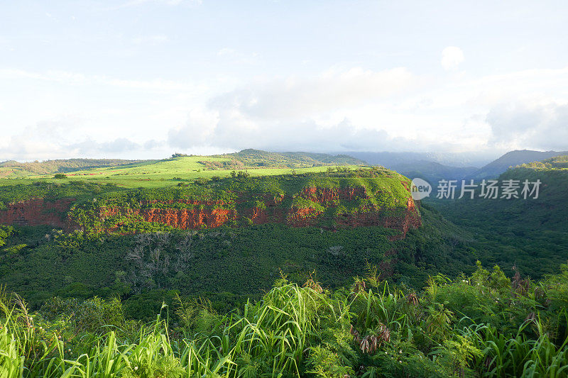 威美亚峡谷，考艾岛，美国夏威夷