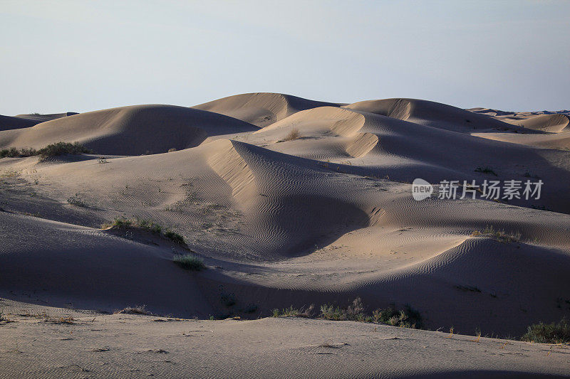 索尔顿海沙漠沙丘