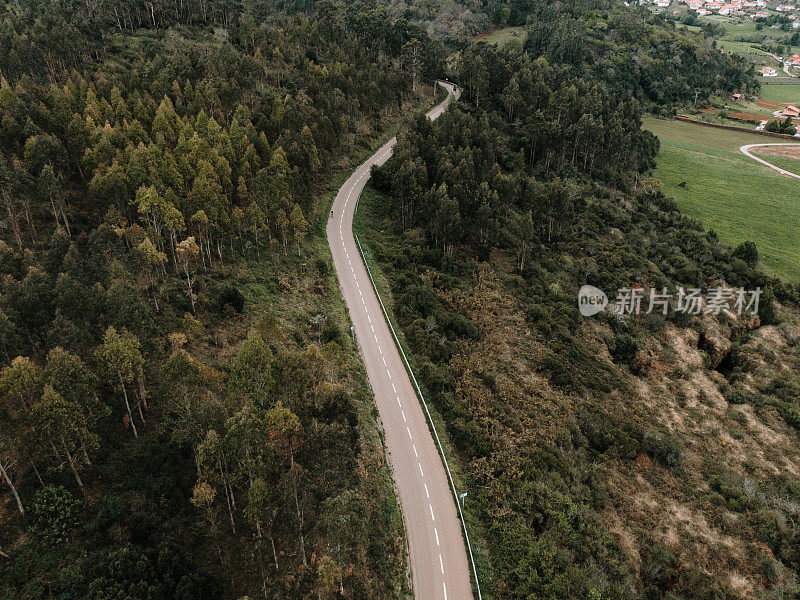 从上面看穿过森林的道路