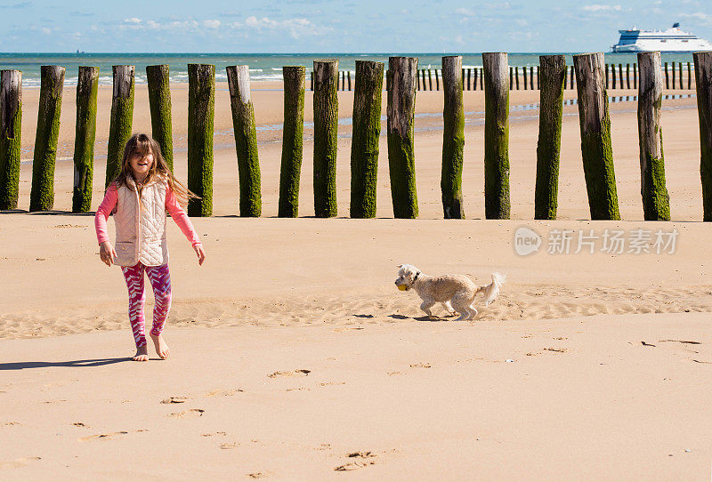 美丽的年轻女孩和她的狗在沙滩上玩耍