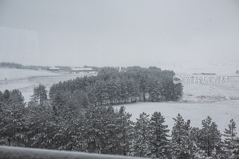 雪的场景