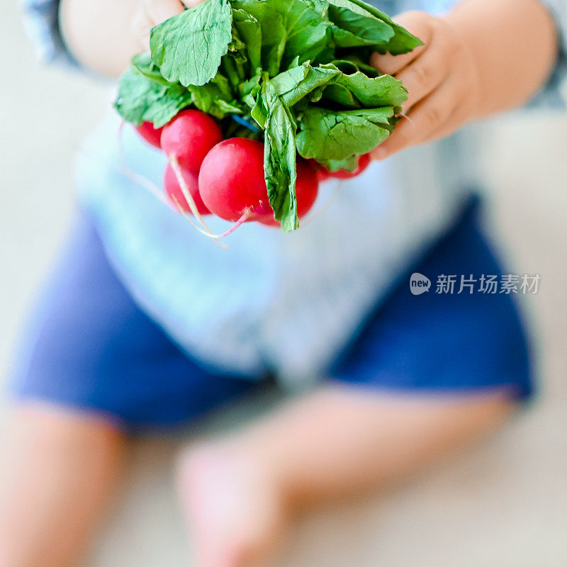幼儿用小萝卜，儿童用健康新鲜蔬菜