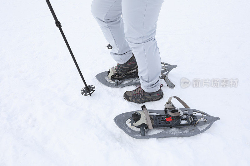 雪地鞋业余冬季运动妇女雪地鞋步行者在粉末雪上滑雪度假村Dolomites在意大利