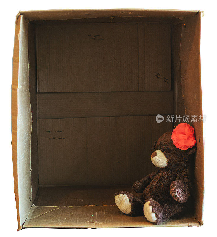 孤独的泰迪熊系列，涉及与疾病危机期间的避难所相关的纸箱