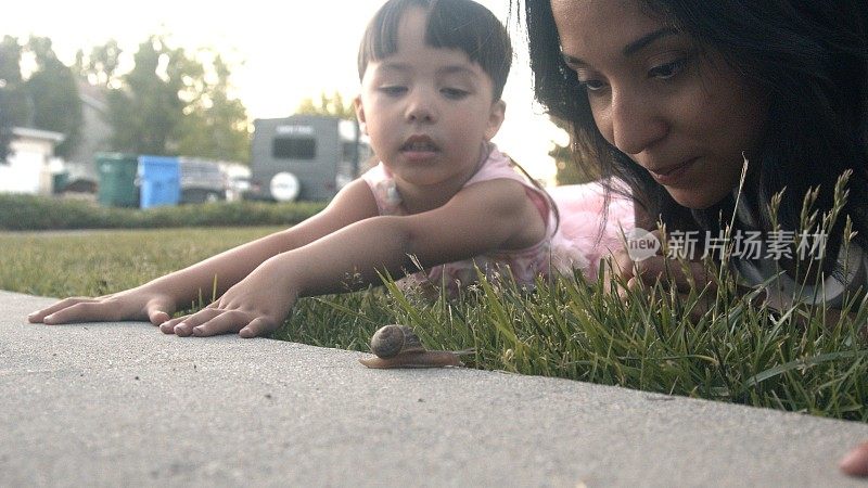 4岁的小女孩和年轻的母亲在观察一个花园蜗牛在他们的前车道在一个中产阶级的社区