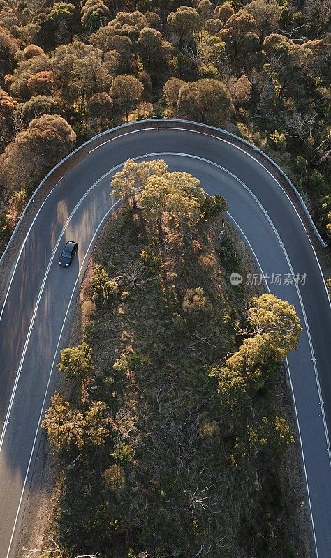 森林中蜿蜒道路