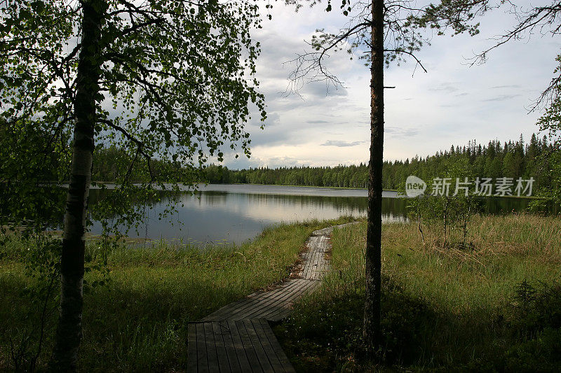 瑞典湖泊自然景观森林荒野