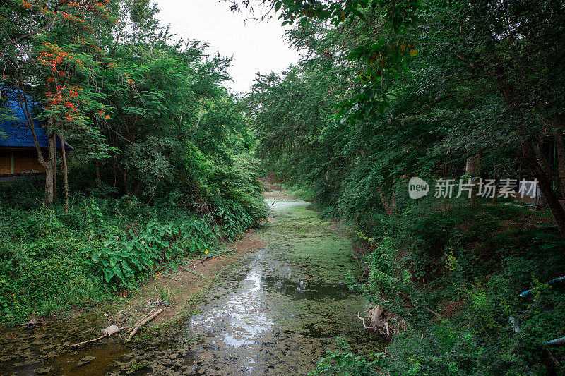 森林与河流