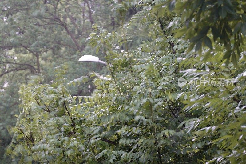 在下雨的一天