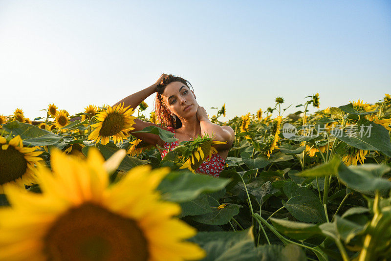 一个长发女孩在向日葵草地上放松