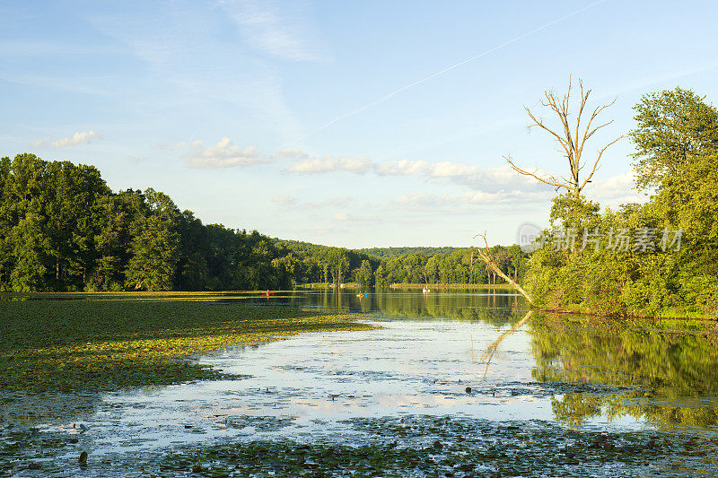 法国溪州立公园霍普威尔湖的夏日美景