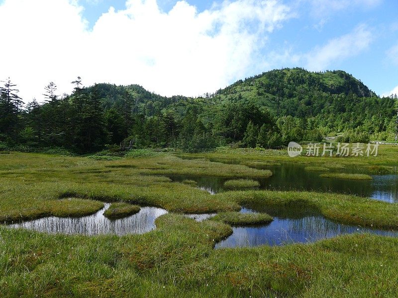 志贺高地(日本上心越国家公园志贺山)