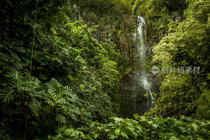Wailua瀑布在毛伊岛。