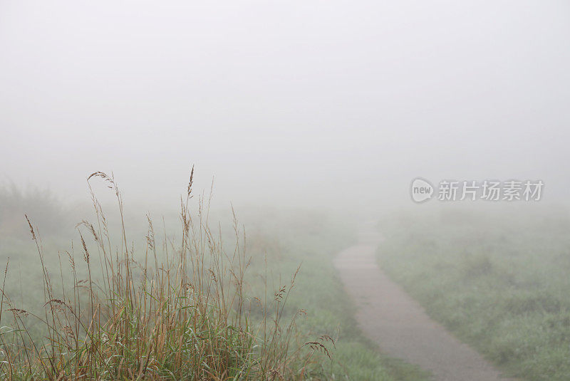 烟雾飘过加拿大的漫滩